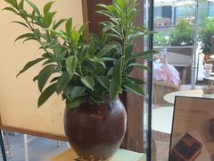-去茶山(新光里店)