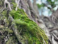 -西南民族大学南区(双流校区)