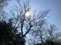 -上海市保健医疗中心