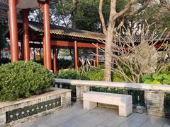 -顺峰山公园