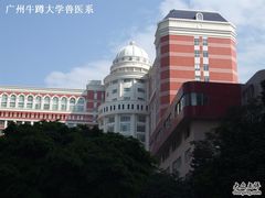 -南方医科大学南方医院(院本部)