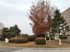 -长春世界雕塑园冰雪艺术天地