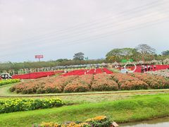 -盈香心动乐园