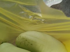 -马陆小张葡萄园农家乐