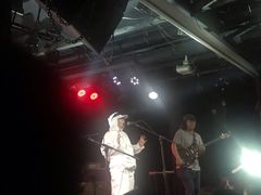 -坚果NUTS