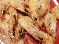 -好伦哥(温都水城店)