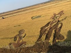 -红海滩国家风景廊道