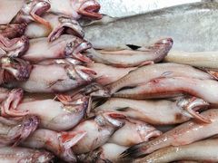 -合家小菜餐馆(新诚花苑店)