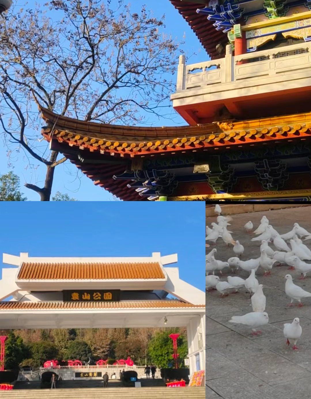 宜春袁山公园最强攻略来了!