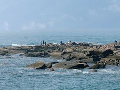 -靓湾海鲜·海景餐厅(小麦岛店)