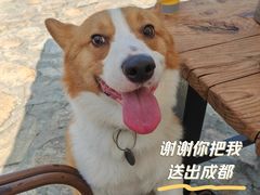 -三圣花乡旅游区