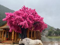 -玉龙雪山蓝月谷
