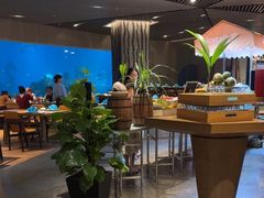 -涛·海底餐厅·美人鱼·自助餐·海底隧道(三亚海棠湾洲际度假酒店)