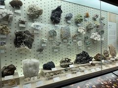 -浙江自然博物院(杭州馆)