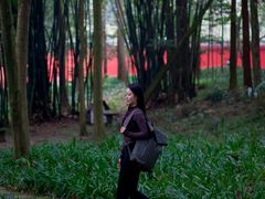 -峨眉山报国寺