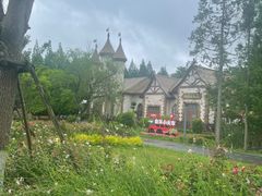 -东平国家森林公园