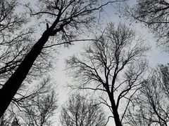 -东湖磨山景区