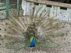 -南京金牛湖风景区