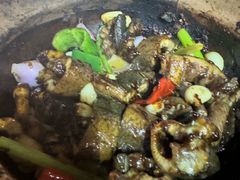 -天宝食坊·啫啫煲大排档(西华路店)