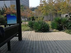 -黑石礁公园