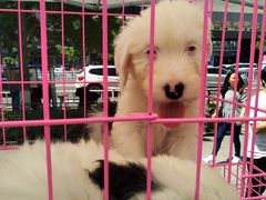 -新世界百货(顺义店)