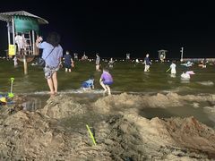 -碧海金沙