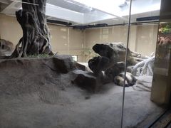 -宁波野生动物园