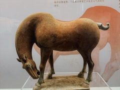 -衢州市博物馆