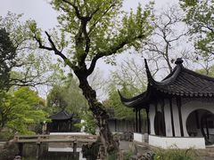 -拙政园