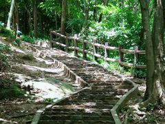 -上海佘山国家森林公园天马山园