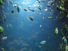 -海合安青岛极地海洋公园