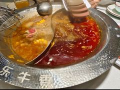 -古乐牛香·鲜牛肉牛杂火锅(千灯店)