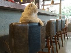 大堂-咖法森林·咖啡  酒吧(天河店)