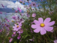 -丽江泸沽湖景区