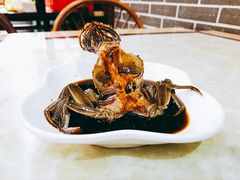 -红灯笼龙凤饭店(宁波老字号店)