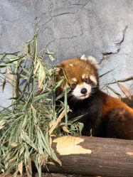 -Zoolung Zoolung动物主题公园(海信广场店)