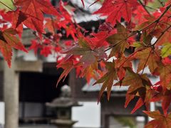 -常寂光寺