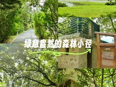 -华侨城湿地公园