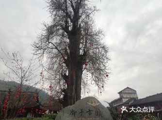 出游那天天气比较阴，还有春节喜气洋洋的气氛
