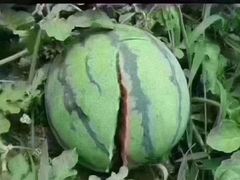 -北京南方一品工长俱乐部