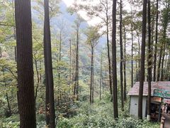 -藏龙百瀑风景区