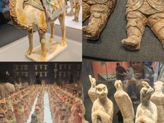 -陕西历史博物馆