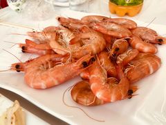 虾-渔民船说·北塘海鲜·天津菜·海肠捞饭(北塘古镇店)