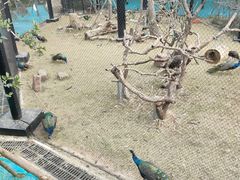 -武汉动物园