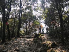 -西湖风景区十里琅珰-五云山