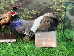 -房山世界地质公园博物馆