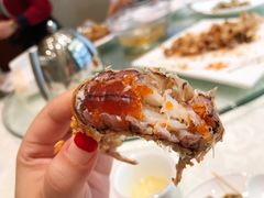 -大东海海鲜酒楼(渔人码头总店)