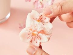 -盒马X会员店(上海森兰商都店)