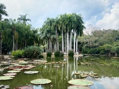 -中国科学院西双版纳热带植物园