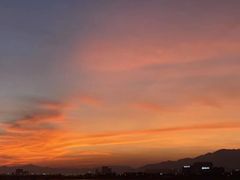 -深圳湾公园(南山区)